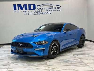 2019 ford mustang