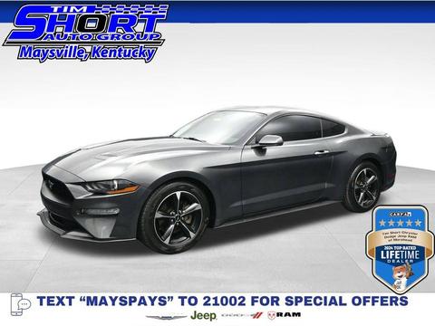 2019 Ford Mustang