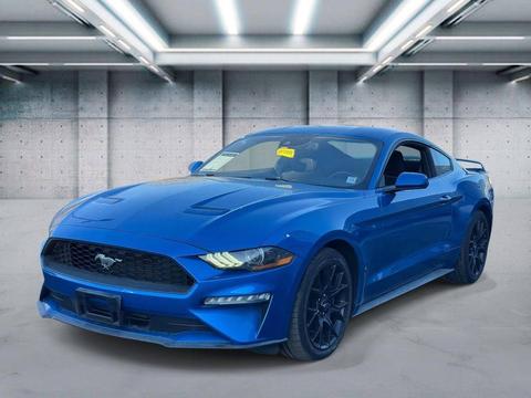 2019 Ford Mustang