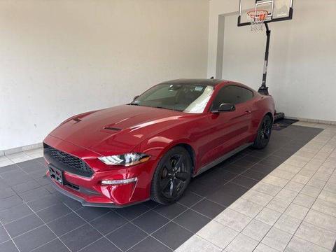 2021 Ford Mustang