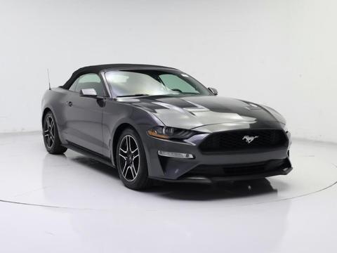 2019 Ford Mustang