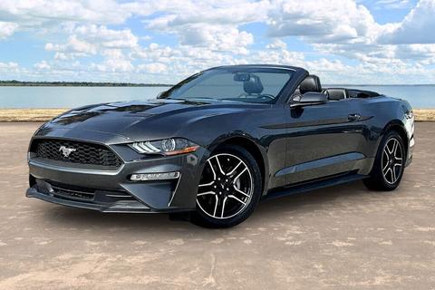 2019 Ford Mustang