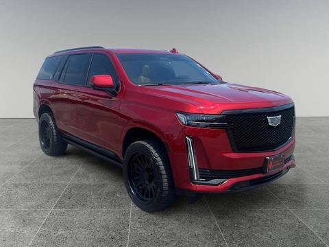 2024 Cadillac Escalade