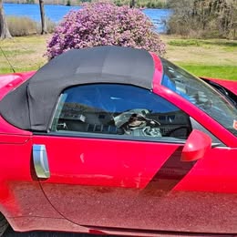 2004 Nissan 350Z - Enthusiast Coupe 2D