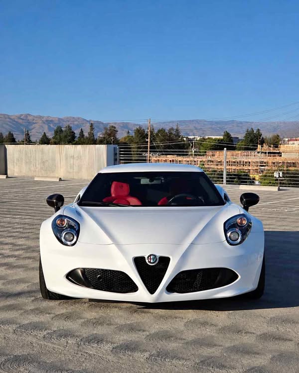 2015 Alfa Romeo 4C - Coupe 2D
