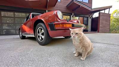 1980 Porsche 911 - Targa Coupe 2D