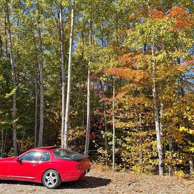 1994 Porsche 968 - Coupe 2D