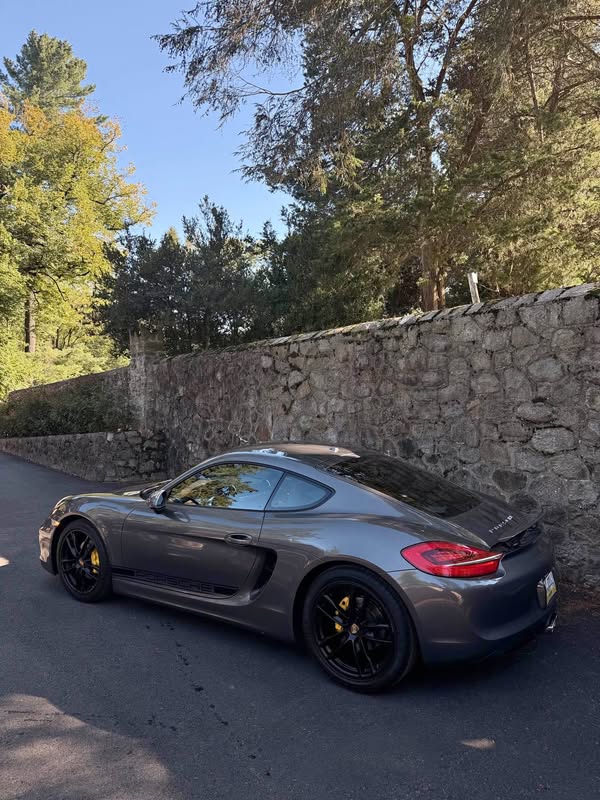 2015 Porsche Cayman - Coupe 2D