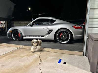 2006 Porsche Cayman - S Coupe 2D