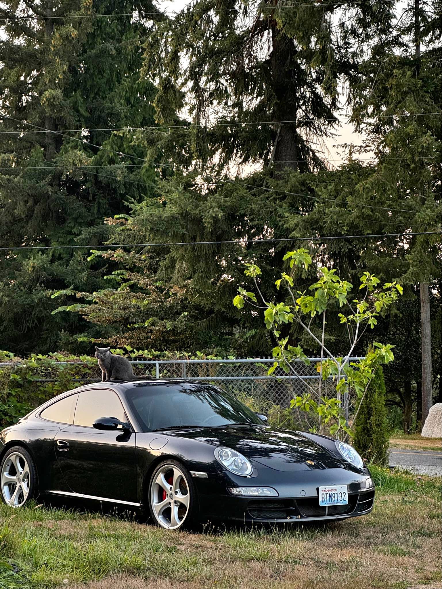2005 Porsche 911 - Carrera S Coupe 2D