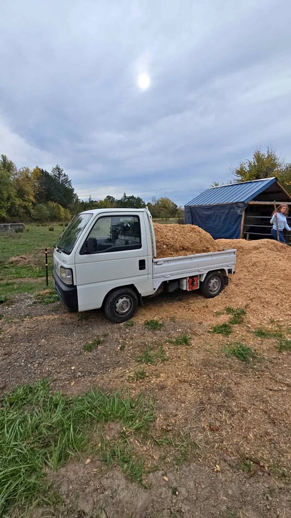 1997 Honda Acty
