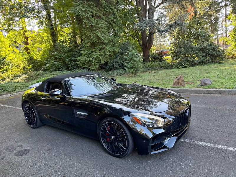 2018 Mercedes-Benz Mercedes-AMG GT - Roadster 2D