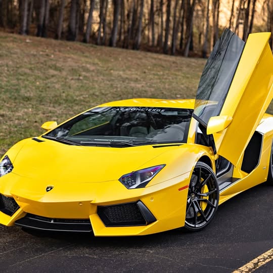 2013 Lamborghini aventador lp 700-4