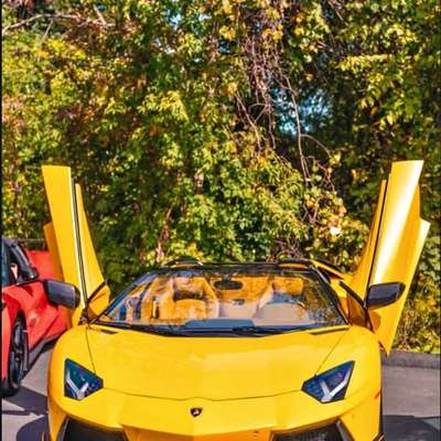 2015 Lamborghini Aventador - LP 700-4 Roadster 2D