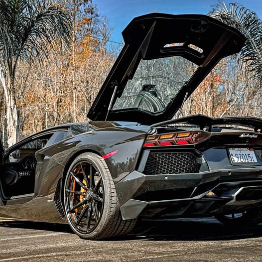 2015 Lamborghini Aventador - LP 700-4 Coupe 2D