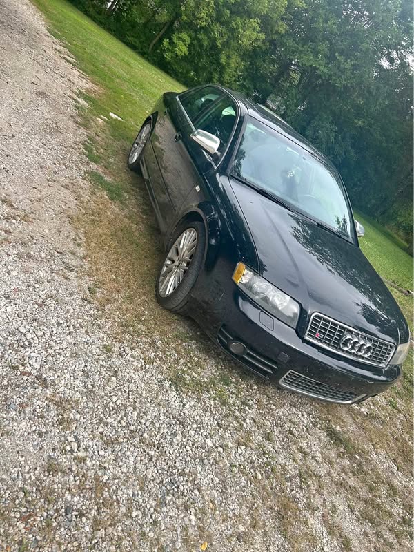 2005 Audi S4 (2005.5) - Quattro Sedan 4D
