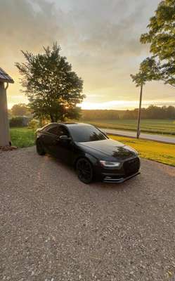 2014 Audi S4 - Premium Plus Sedan 4D