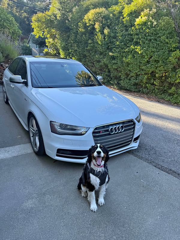2013 Audi S4 - Prestige Sedan 4D