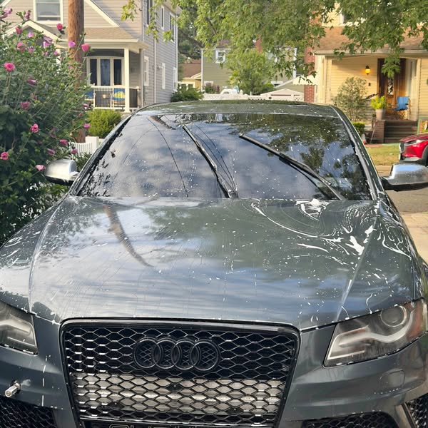 2010 Audi S4 - Premium Plus Sedan 4D