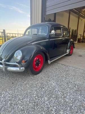 1957 Volkswagen Beetle