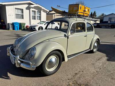1955 Volkswagen Beetle - #PinkBeetle Hatchback 2D