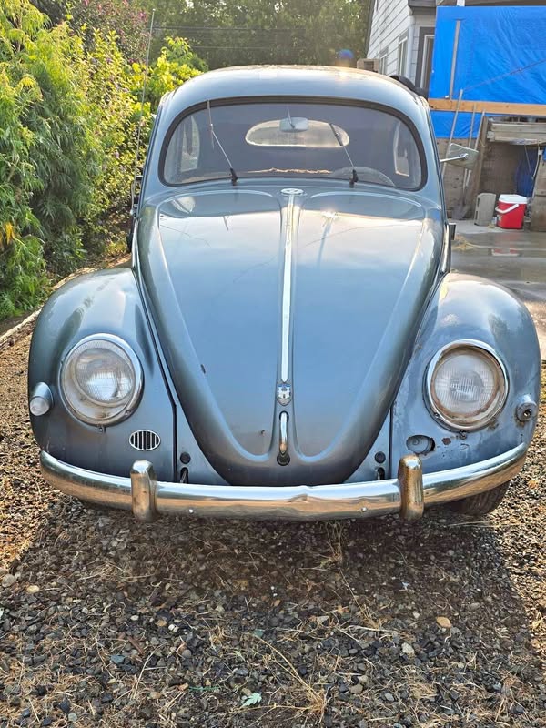 1955 Volkswagen Beetle