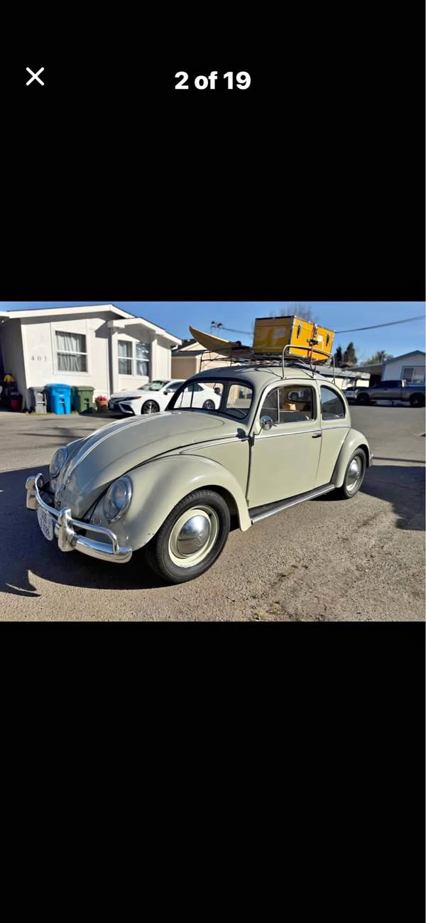1955 Volkswagen Beetle - #PinkBeetle Hatchback 2D