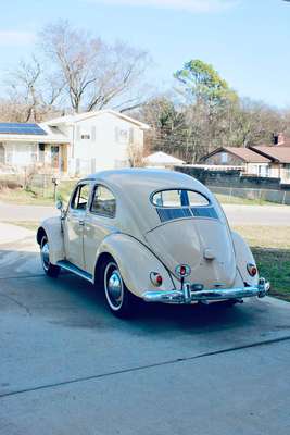 1954 Volkswagen Beetle