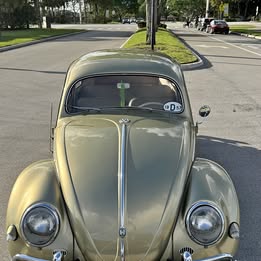 1957 Volkswagen beetle \/ oval
