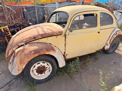 1956 Volkswagen Beetle - Sedan