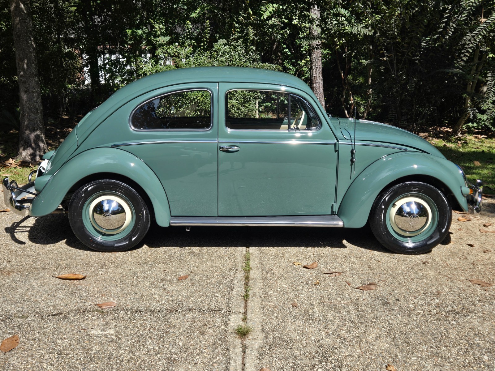 1956 Volkswagen Beetle - Classic