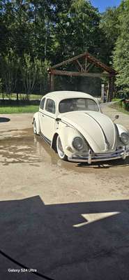 1956 Volkswagen Beetle - #PinkBeetle Hatchback 2D