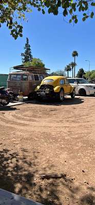 1955 Volkswagen Beetle - Deluxe