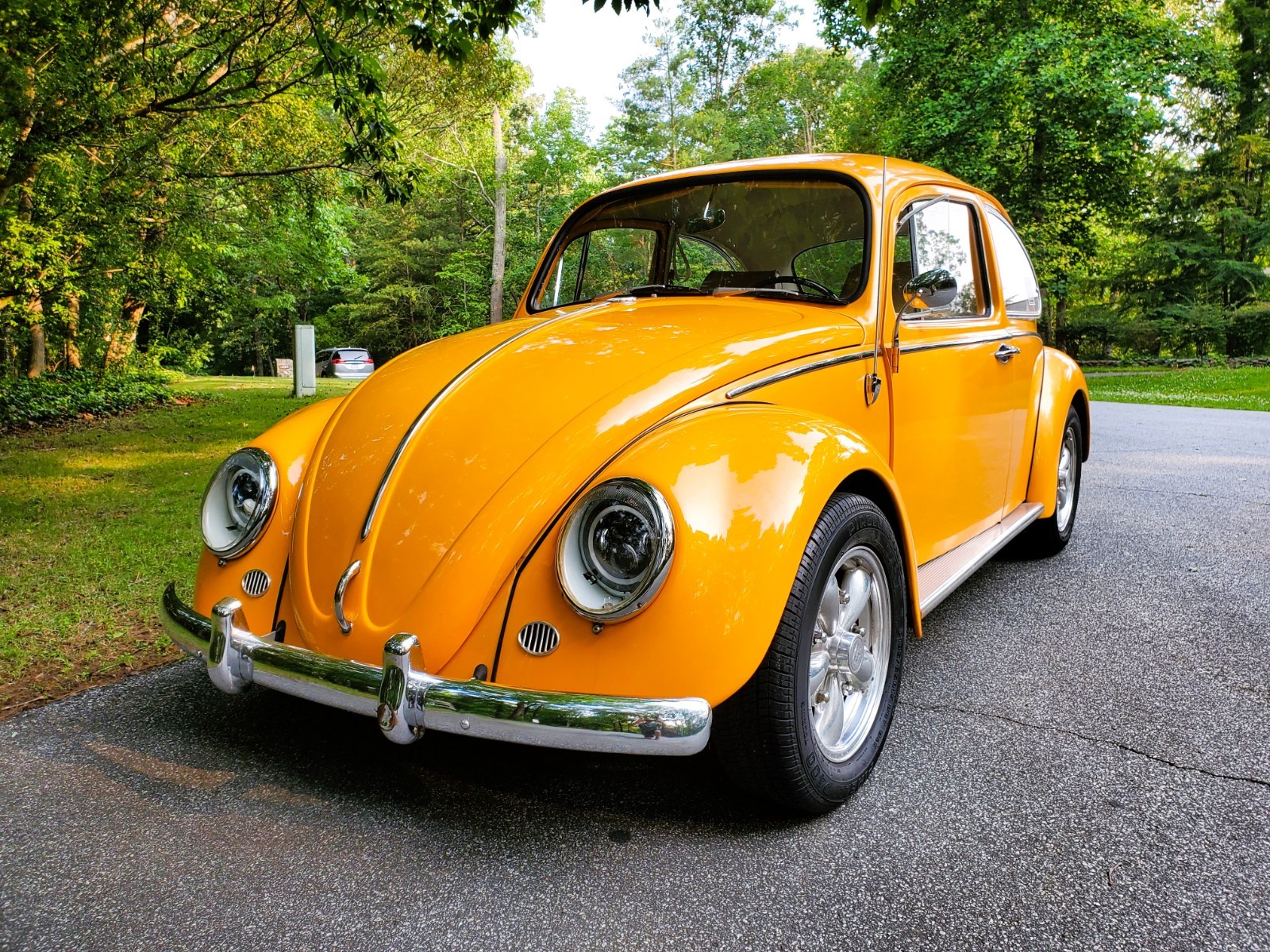 1966 Volkswagen Beetle - Classic