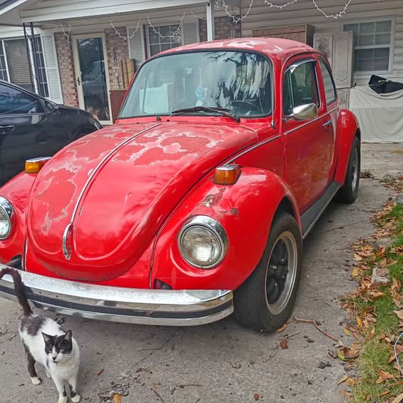 1974 Volkswagen Beetle - 1.8T Classic Hatchback 2D
