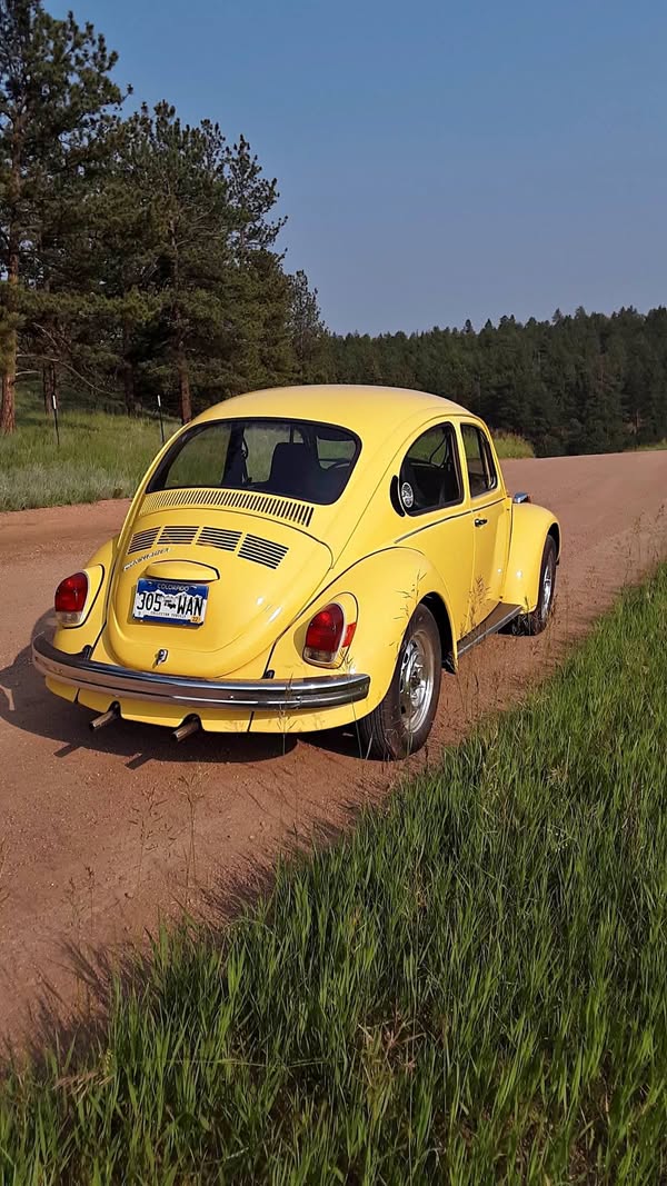 1972 Volkswagen Beetle