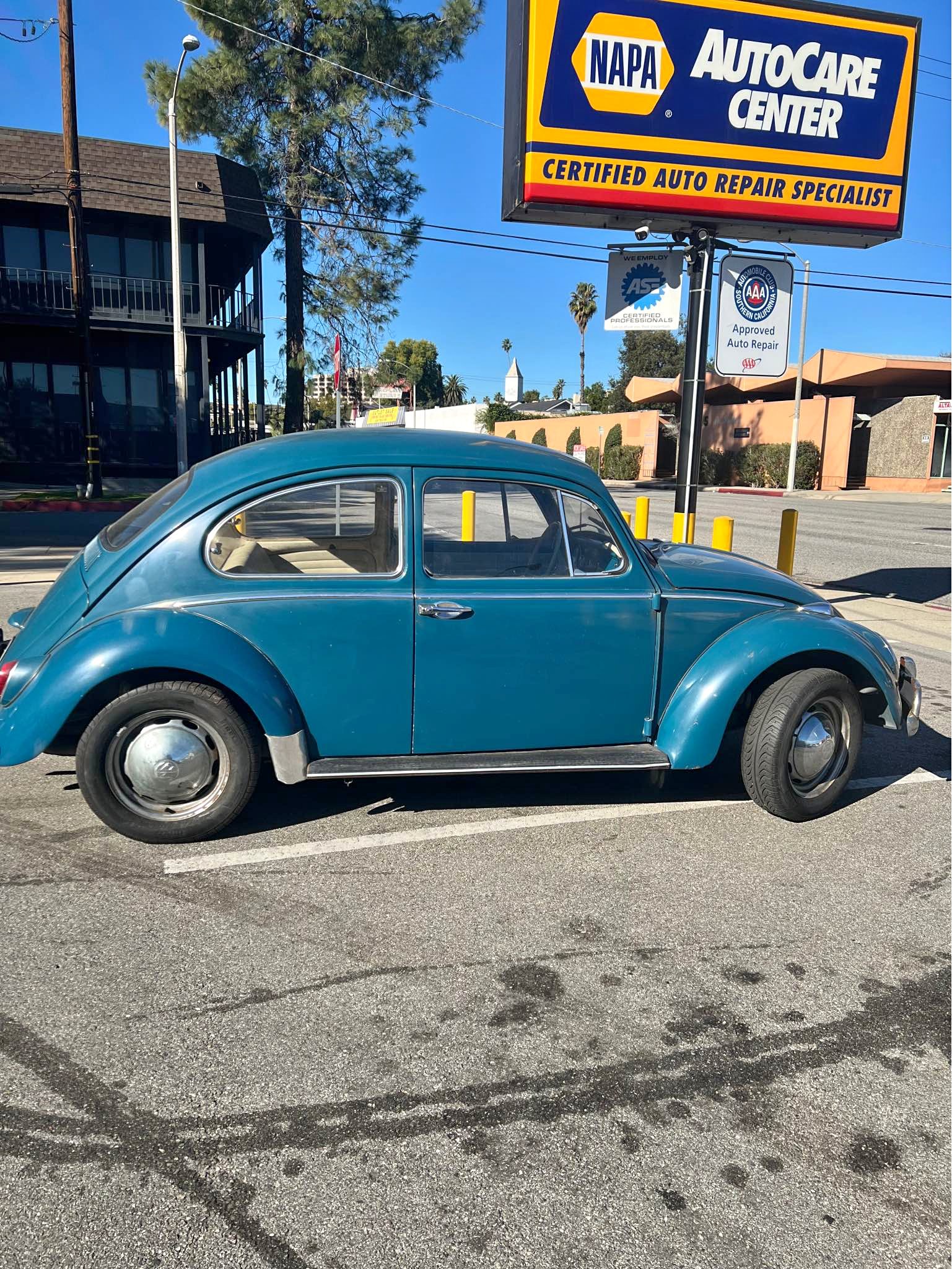 1965 Volkswagen Beetle - #PinkBeetle Hatchback 2D