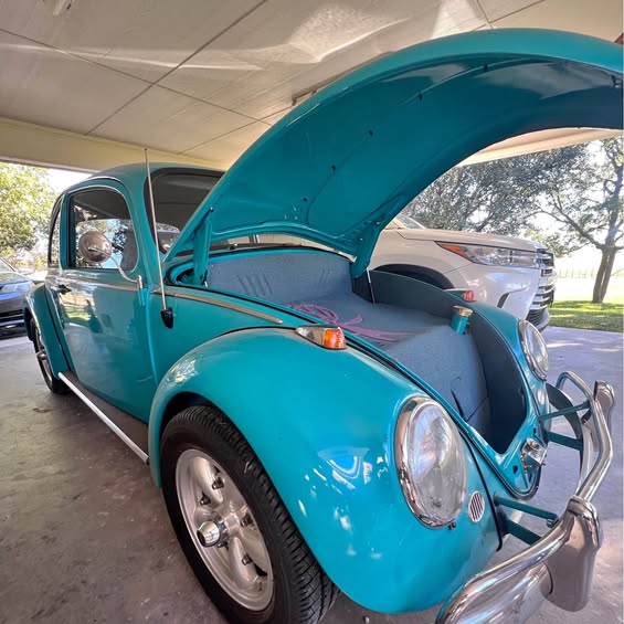 1965 Volkswagen Beetle