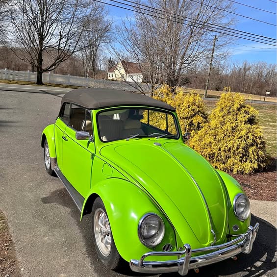 1968 Volkswagen Beetle