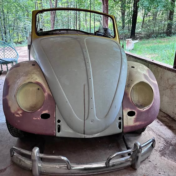 1965 Volkswagen Beetle - Stock