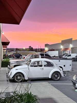 1967 Volkswagen Beetle