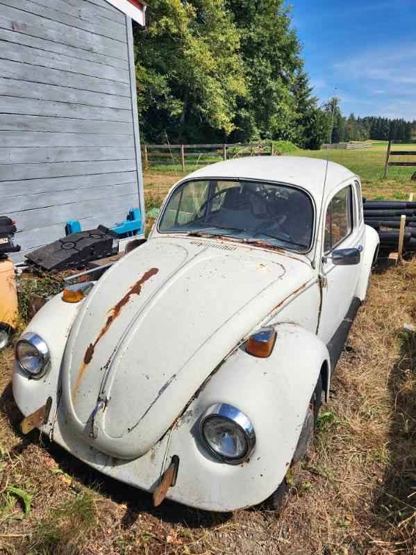 1970 Volkswagen Beetle - Hatchback 2D