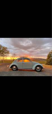 1966 Volkswagen Beetle