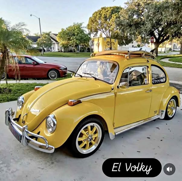 1973 Volkswagen Beetle - 1.8T Classic Hatchback 2D