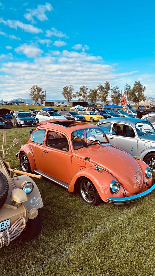 1973 Volkswagen Beetle - 1.8T Classic Hatchback 2D