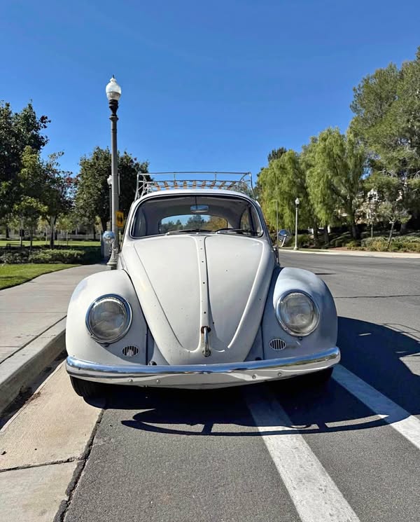 1967 Volkswagen Beetle - 1.8T Hatchback 2D