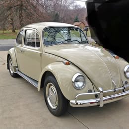 1967 Volkswagen beetle