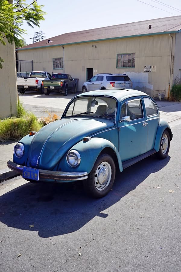 1969 Volkswagen Beetle