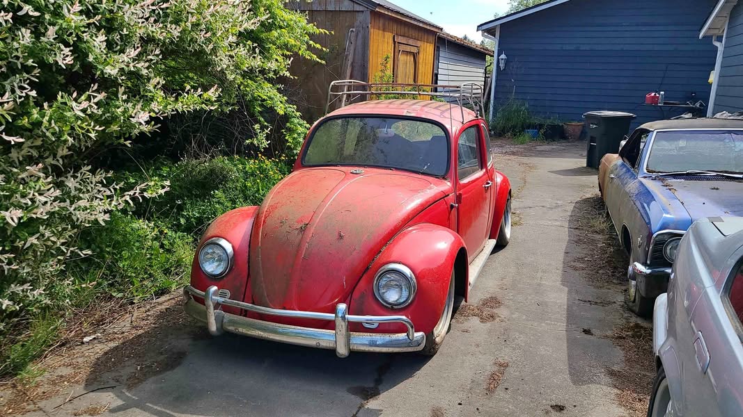 1967 Volkswagen Beetle