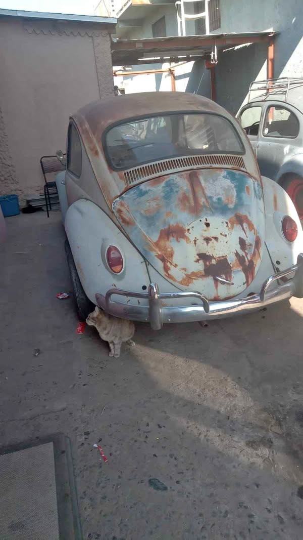 1960 Volkswagen Beetle - 1.8T Classic Hatchback 2D